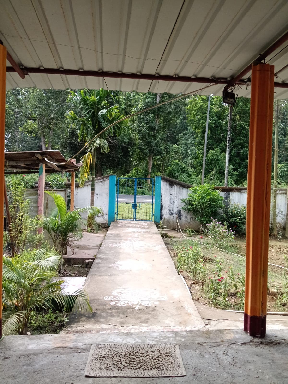 A paved path leading from a covered veranda through a garden of palms and shrubs to a blue gate