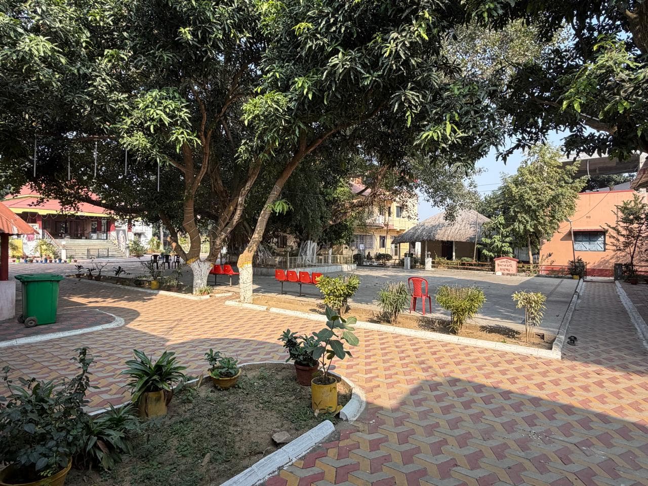 A paved courtyard under large shade trees, with a curving garden bed of potted plants and buildings beyond