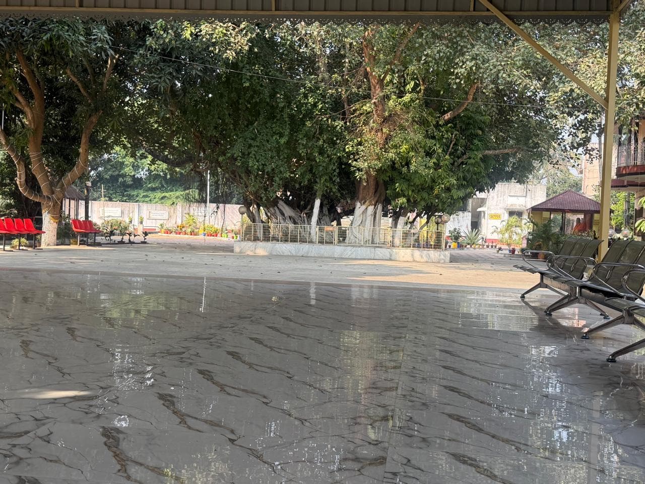 An open courtyard of grey paving beneath a canopy of old trees, with benches along one side