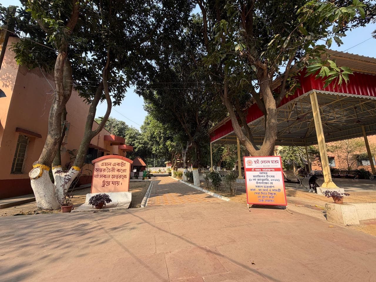 A paved path between whitewashed tree trunks and small signboards, beside a red-roofed open shelter