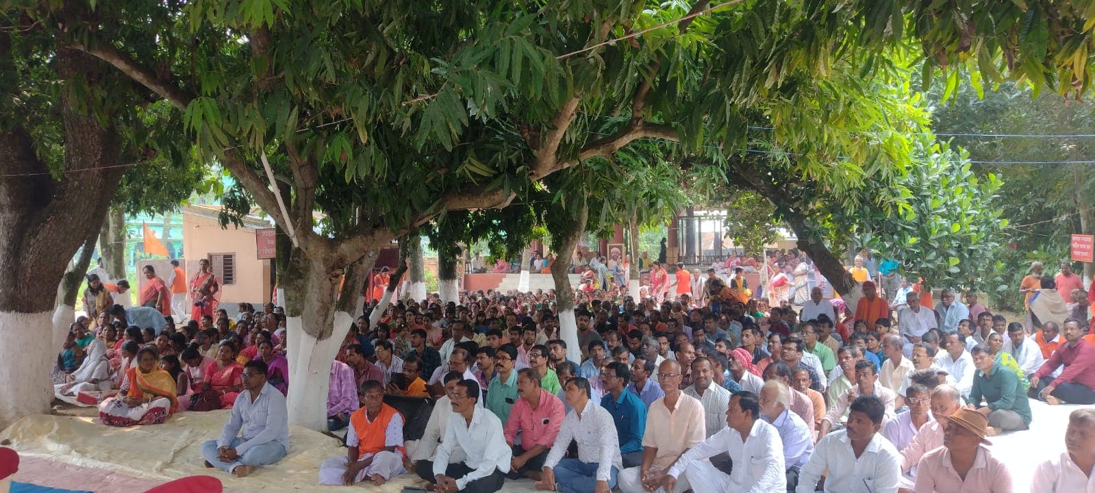 A large crowd seated on the ground in the shade of tall trees