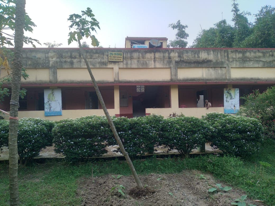A long two-storey building behind a row of clipped hedges and a young tree