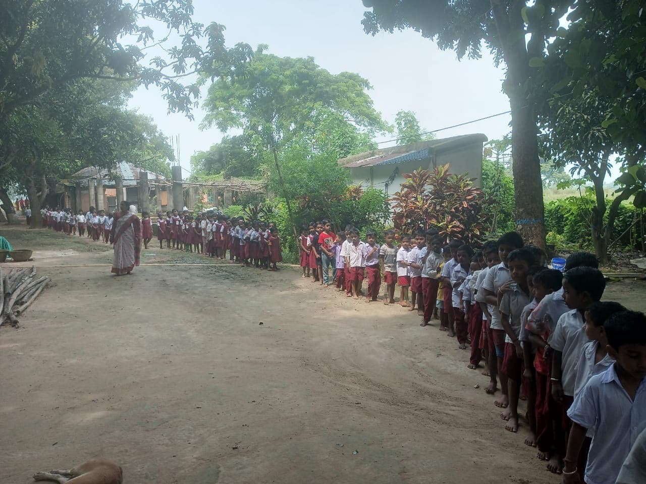 A long line of students in uniform standing along a tree-lined dirt path